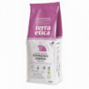 Café jebena grains 500g