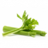 CELERI BRANCHE 200GR