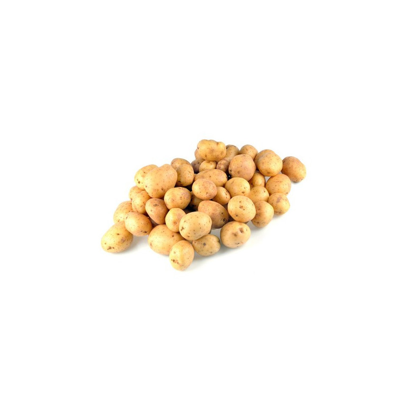 POMME DE TERRE PRIMEUR BARQUETTE 750gr Starlette/Lady ChristL PRINCE DE BRETAGNE