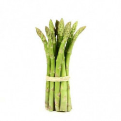 ASPERGE VERTE 16+ botte 500gr