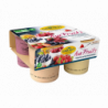 Aux fruits yaourt fraise, framboise, myrtille, abricot, 4x125g