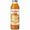 Jus carotte mangue 50cl