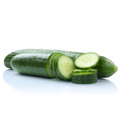 CONCOMBRE LONG LISSE...