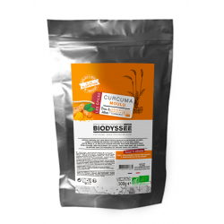 Curcuma moulu 500g