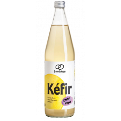 Kéfir de fruit citron et...
