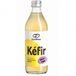 Kéfir de fruit citron et...