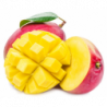 MANGUE KENT