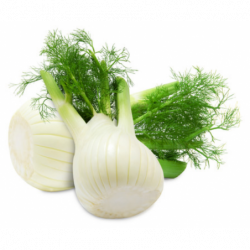FENOUIL BIO BREIZH