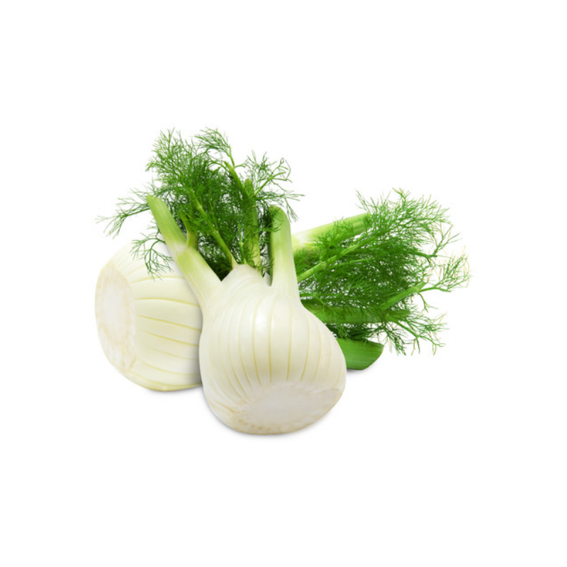 FENOUIL BIO BREIZH
