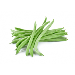HARICOT VERT RECOLTE MAIN