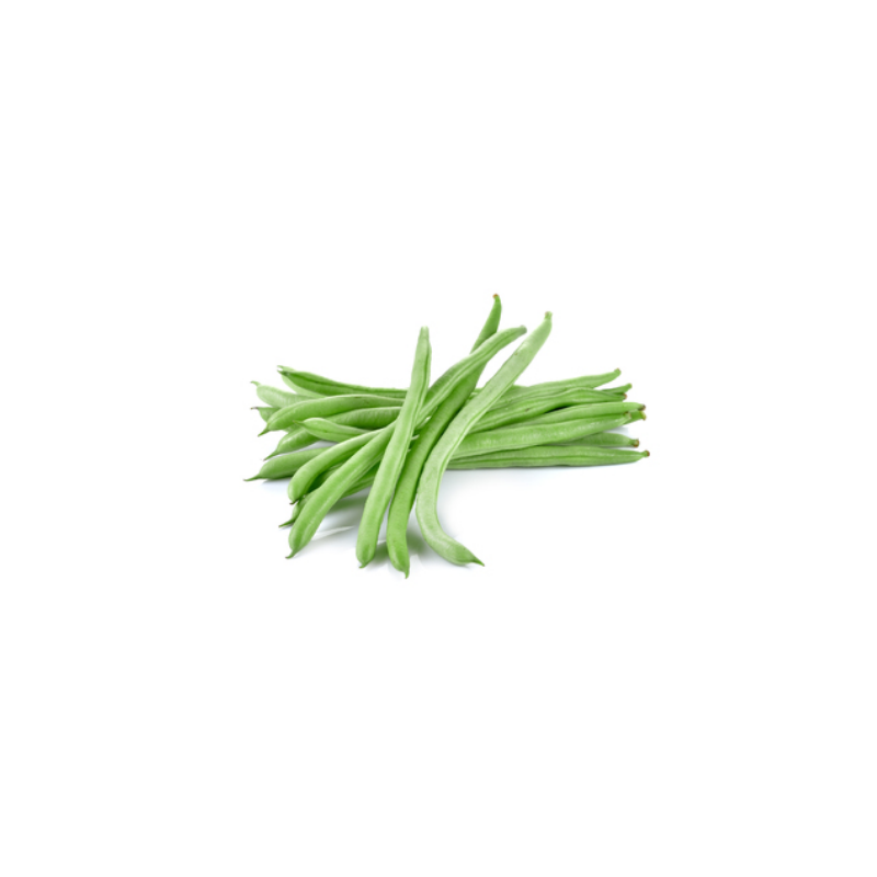 HARICOT VERT RECOLTE MAIN