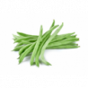 HARICOT VERT RECOLTE MAIN