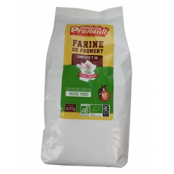 Farine blé T110 2,5kg