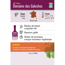 Vin rouge AOP Chinon Domaine des Galuches 75cl