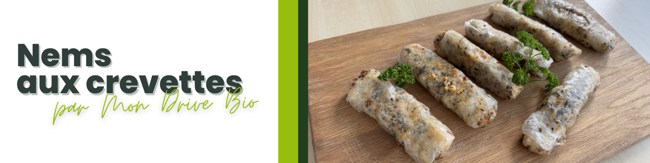 Bandeau présentation recette article nems aux crevettes