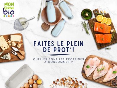 Faites le plein de protéines ! 