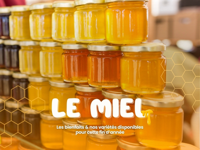 Le miel : variétés & bienfaits 