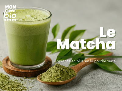 Le matcha : apprenez en plus sur la poudre verte