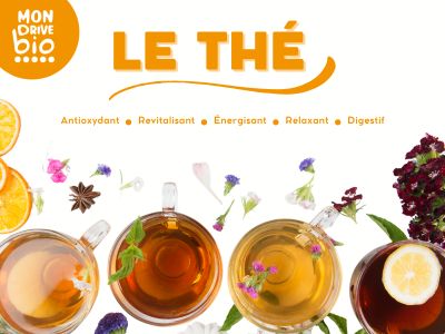 Le thé : les bienfaits, les origines et comment bien le choisir